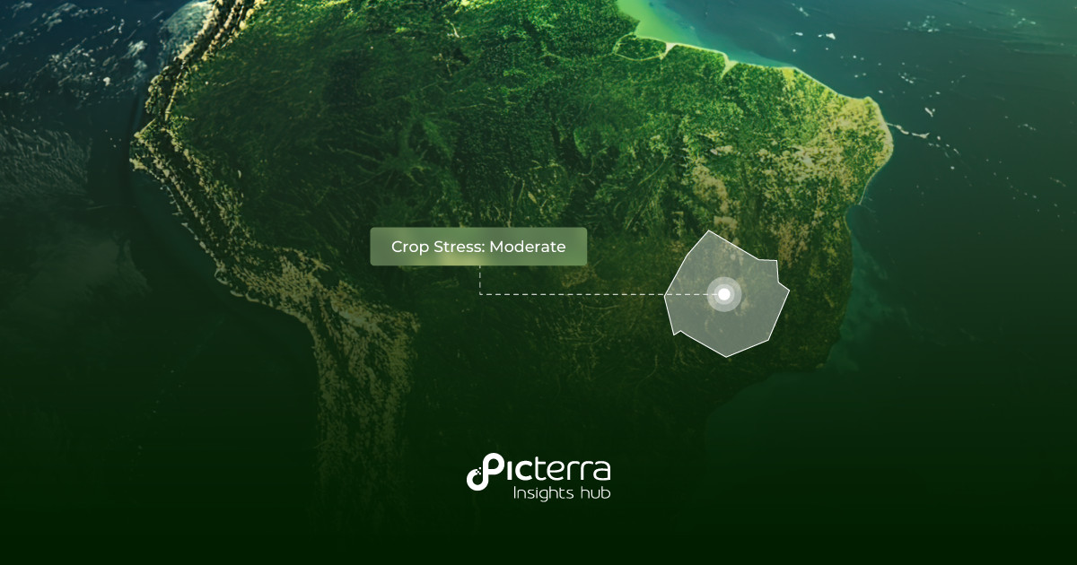 Picterra Insights